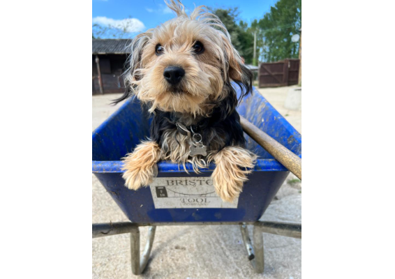 Voucher Template 12019